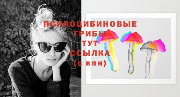 СК Кинешма