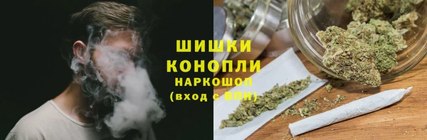 ALPHA PVP Козельск