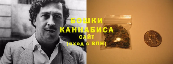 PSILOCYBIN Киреевск