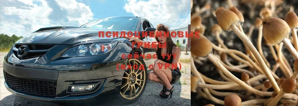 СК Кинешма
