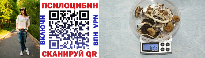 как найти   Конаково  Галлюциногенные грибы Magic Shrooms 