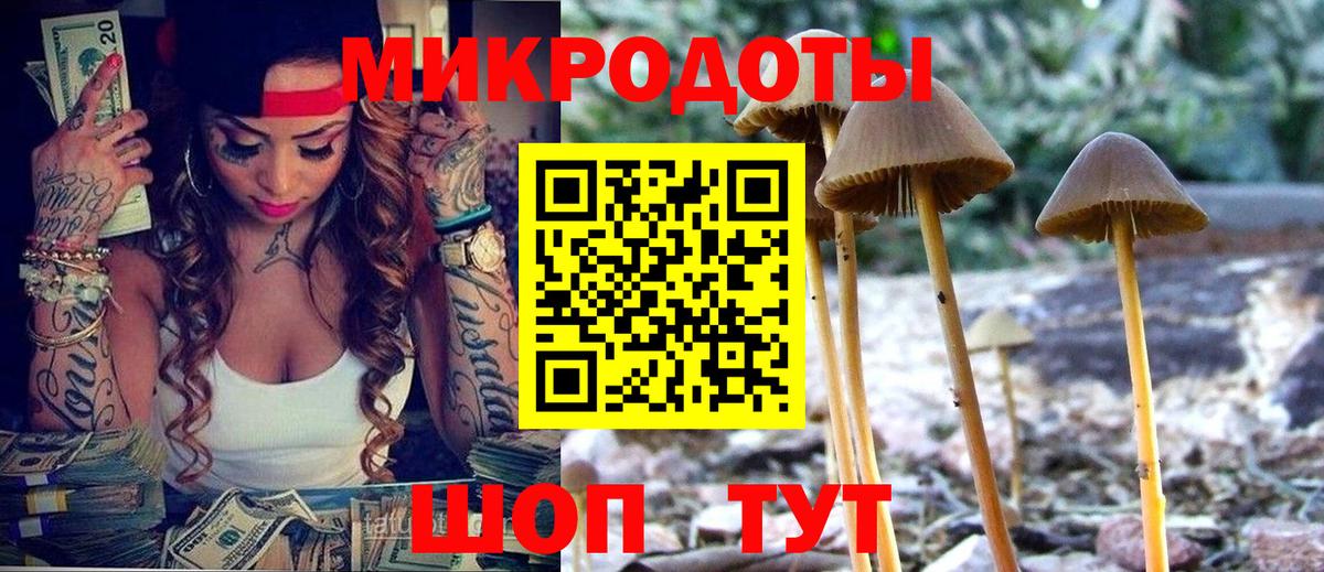 Конаково  Псилоцибиновые грибы Psilocybe  Псилоцибиновые грибы Psilocybine cubensis  Вход с VPN 